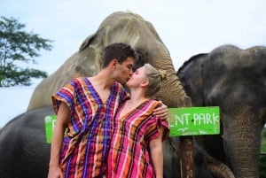 Tour del programma di salvataggio e cura degli elefanti