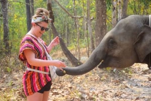 Tur med elefantrednings- og omsorgsprogram