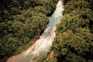 Phuket: Elephant & Sea Turtle Conservation Tour with Rafting