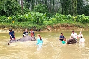 Phuket: Elephant & Sea Turtle Conservation Tour with Rafting