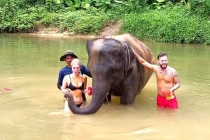 Phuket: Elephant & Sea Turtle Conservation Tour with Rafting