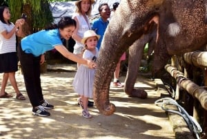 Phuket: Elephant & Sea Turtle Conservation Tour with Rafting