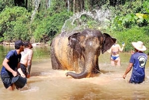 Phuket: Elephant & Sea Turtle Conservation Tour with Rafting