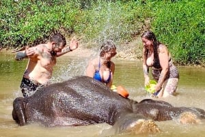 Phuket: Elephant & Sea Turtle Conservation Tour with Rafting