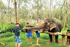 Phuket: Elephant & Sea Turtle Conservation Tour with Rafting