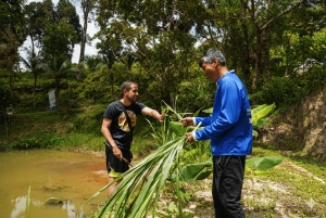 Phuket: Aldeia dos Elefantes e Tour pela Cidade com Zipline e ATV