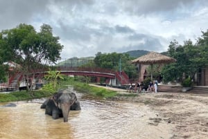 Phuket: Freedom Elephant Reserve – en eterisk naturvandring
