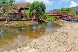 Phuket: Freedom Elephant Reserve – en eterisk naturvandring