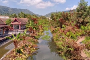Phuket: Freedom Elephant Reserve – en eterisk naturvandring