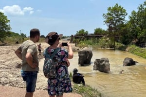 Phuket: Freedom Elephant Reserve – en eterisk naturvandring