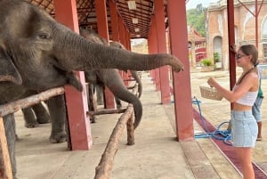 Phuket: Freedom Elephant Reserve – en eterisk naturvandring