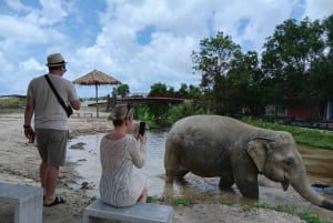 Phuket: Freedom Elephant Reserve – en eterisk naturvandring