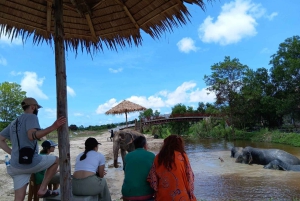 Phuket: Freedom Elephant Reserve – en eterisk naturvandring