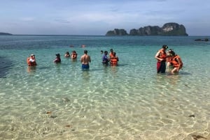 Phuket: Ethical Elephant & 3 Islands Snorkeling with Lunch