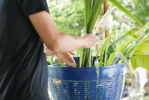 Phuket: Ethical Elephant & 3 Islands Snorkeling with Lunch