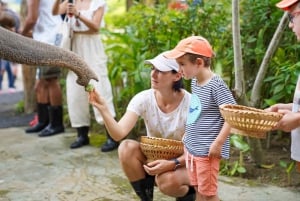 Phuket: Ethical Elephant Nature Park Visit with Lunch