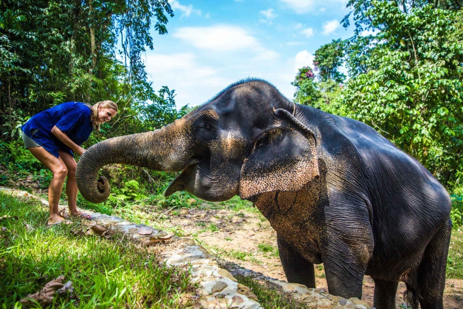 Phuket: Ethical Elephant Sanctuary Experience