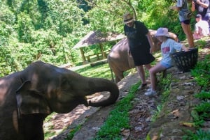 Phuket: Etisk oplevelse i elefantreservatet