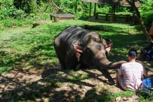 Phuket: Fuket: Eettinen elefanttikeskus Kokemus: Eettinen elefanttikeskus Experience