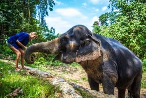 Phuket: Etisk oplevelse i elefantreservatet