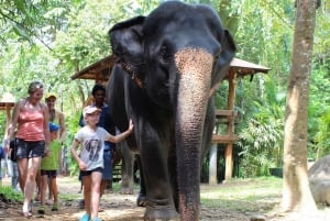 Phuket: Etyczne doświadczenie w sanktuarium słoni