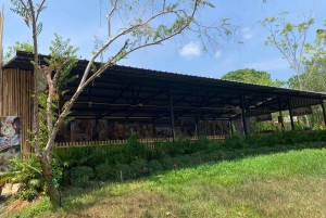Phuket: Ethical Elephant Sanctuary Interactive Tour