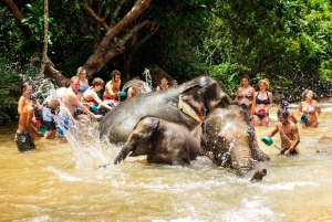 Phuket: Ethical Elephant Sanctuary Interactive Tour