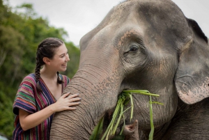 Phuket: Ethical Elephant Sanctuary Interactive Tour