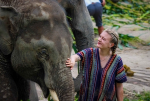 Phuket: Ethical Elephant Sanctuary Interactive Tour