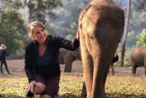 Phuket: Ethical Elephant Sanctuary Interactive Tour