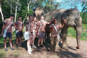 Phuket: Ethical Elephant Sanctuary small group with Lunch