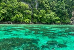 Phuket: Eksklusiv reise 2 dager og 1 natt Phi Phi - James Bond