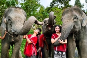 Phuket: Fütterung und Baden von Elefanten erleben