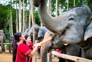 Phuket: Fütterung und Baden von Elefanten erleben