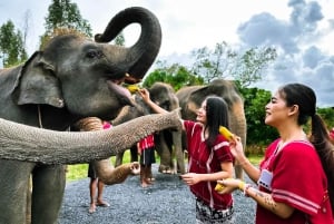 Phuket: Fütterung und Baden von Elefanten erleben