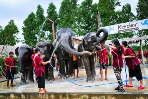 Phuket: Fütterung und Baden von Elefanten erleben