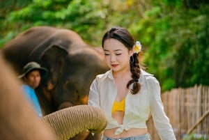 Phuket: Füttern und spielen mit Clifftop Seaview