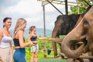 Phuket: Füttern und spielen mit Clifftop Seaview