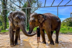 Пхукет: Эко-тур по заповеднику слонов на Пхукете