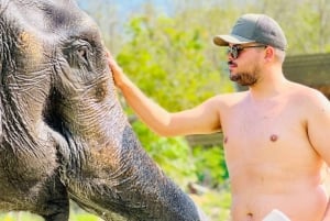 Пхукет: кормление слонов в Phuket Elephant Care