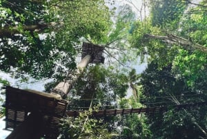 Phuket: Aventura na tirolesa Flying Hanuman