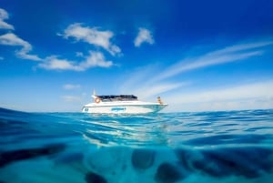 Phuket: Heldagsutflukt til Coral Island med lunsj og snorkling