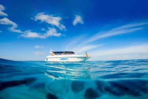 Phuket: Heldagsutflykt till Coral Island med lunch och snorkling