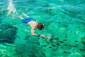 Phuket: Full Day Early Bird to Phi Phi Island & German Guide