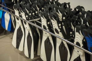 Phuket: Full Day Early Bird to Phi Phi Island & German Guide