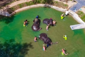Phuket: Full-Day Elephant Explorer at Phuket Elephant Care