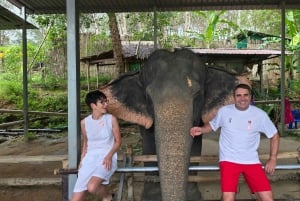 Phuket: Full-Day Elephant Explorer at Phuket Elephant Care