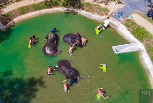 プーケット：プーケット エレファント ケアでの 1 日エレファント エクスプローラー