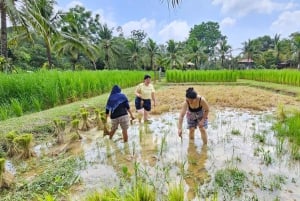 Phuket : Visite d'une jounée de la vie locale et culturelle avec prise en charge et déjeuner