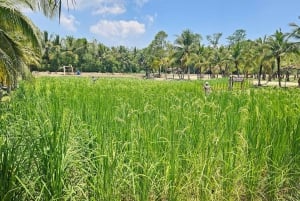 Phuket: Dagvullende tour Lokaal leven cultuur met ophaalservice & lunch